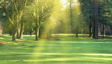 Herlihy-Chambers Funeral Home